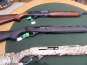 Stoeger M3000
